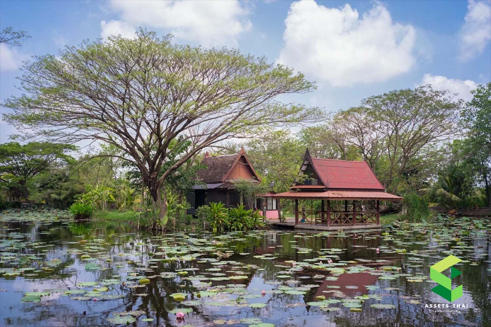♦️Hot Deal Investment Location❗️ Land for Sell 10 rai at Phanasom Cafe&Resort nearby Mahidol University Salaya